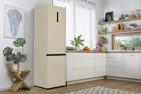 Gorenje NRK6202AC4 alulfagyasztós hűtőszekrény kép 19