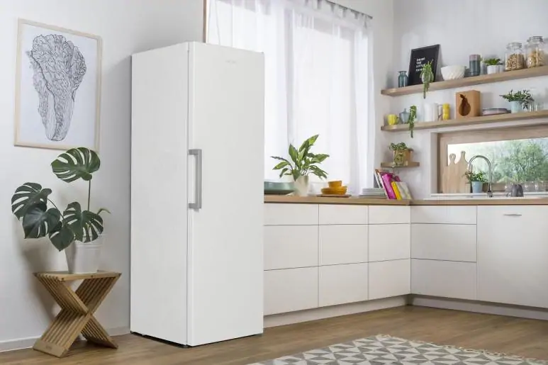 Gorenje R619EEW5 hűtőszekrény kép 17