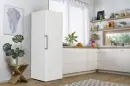 Gorenje R619EEW5 hűtőszekrény kép 17