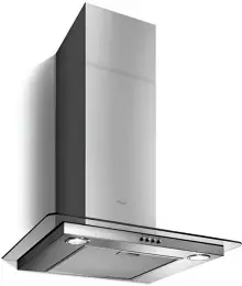 Elica FLAT GLASS IX/A/60 kürtős páraelszívó kép
